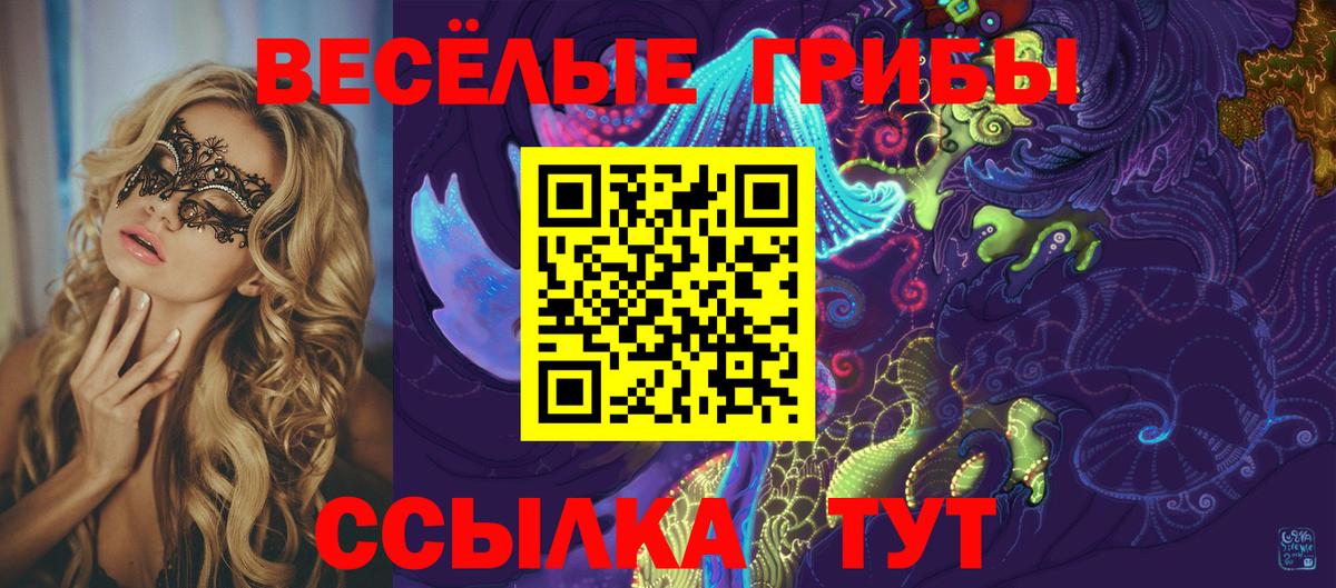 Галлюциногенные грибы GOLDEN TEACHER Ноябрьск